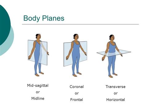 Flexion and extension types of movement occur in this plane , eg kicking a football, chest pass in netball, walking, jumping, squatting. . What is the most suitable camera angle for sagittal and frontal plane movements